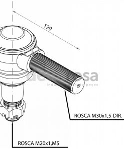 P02556